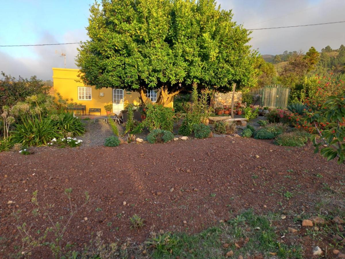 El Limonero Country house Garafia