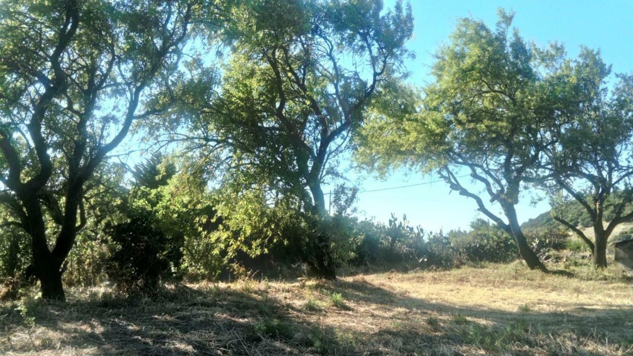 El Limonero Country house Garafia