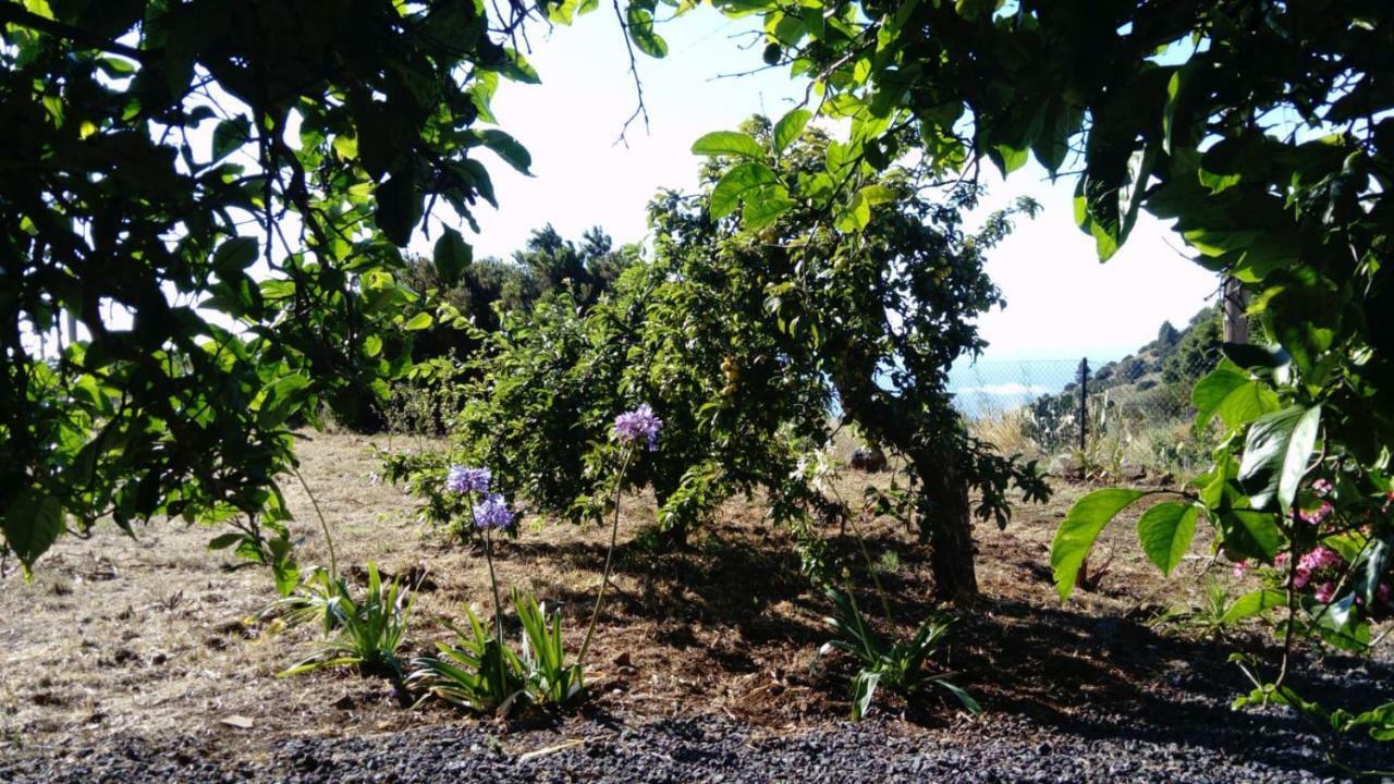 El Limonero Country house Garafia